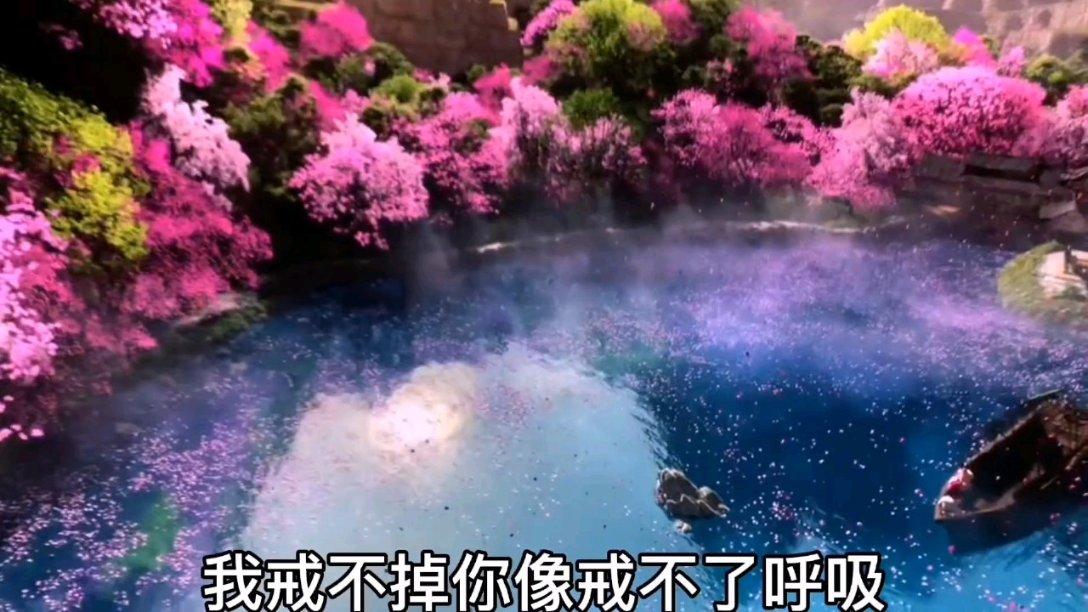 一套珍品