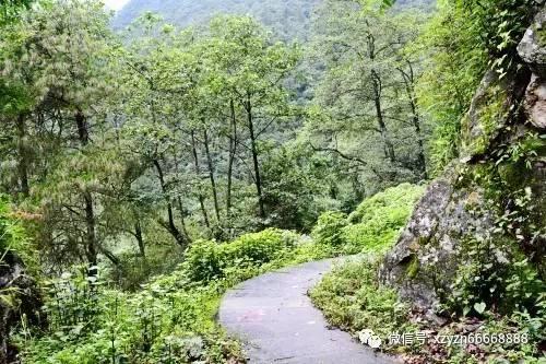女生和男生现在是好朋友，以后会发展成恋人吗？游戏画面
