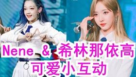 全民烧脑3去广告版