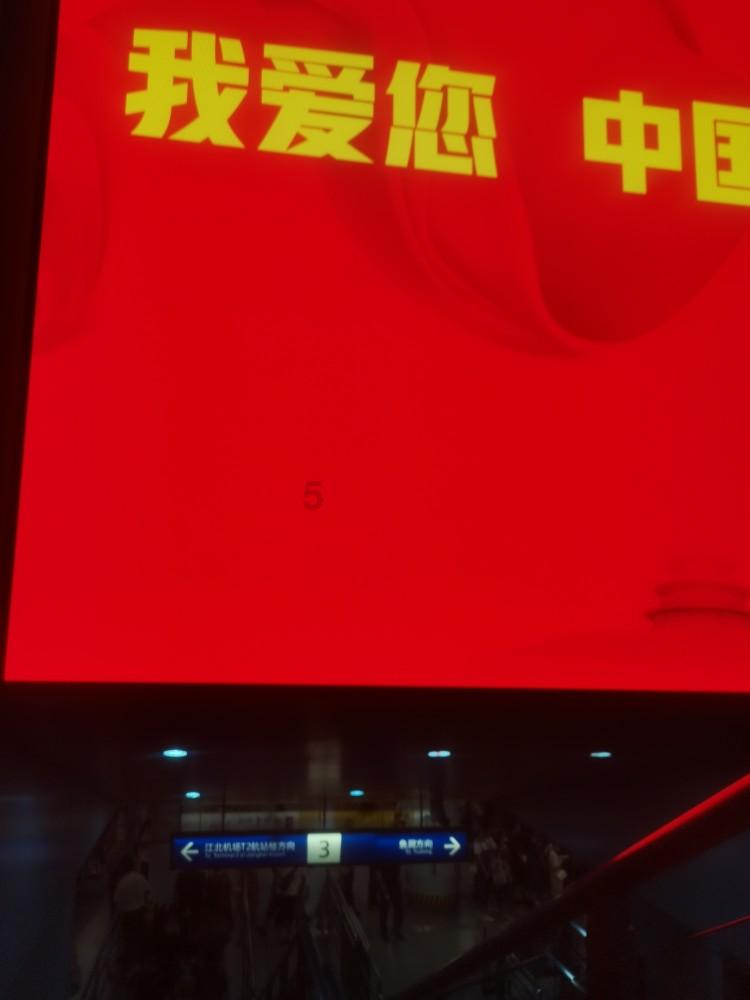 救援受困的小野猫
