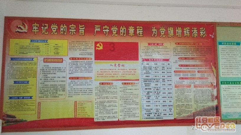 圣彼得堡河岸两只狮子雕像被拆除
